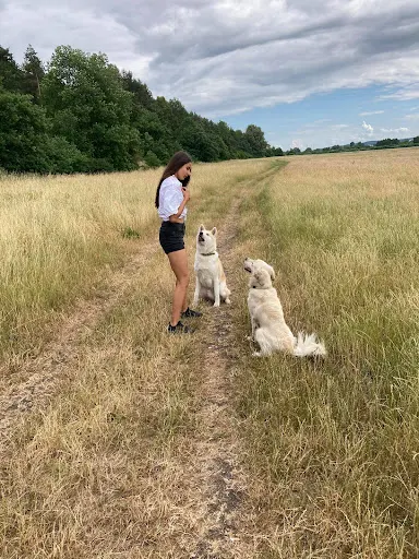 Psiesobowości - psi behawiorysta, psi trener, zoopsycholog